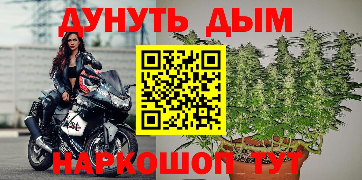 Истра  Канабис сатива  Бошки Шишки конопля  Вход с VPN 